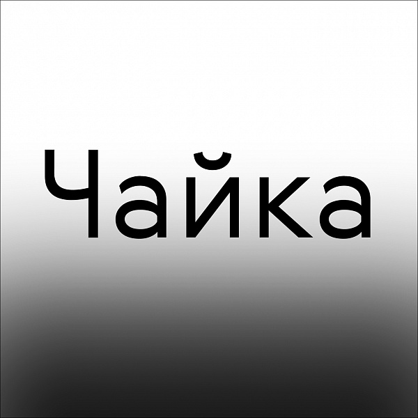 Чайка